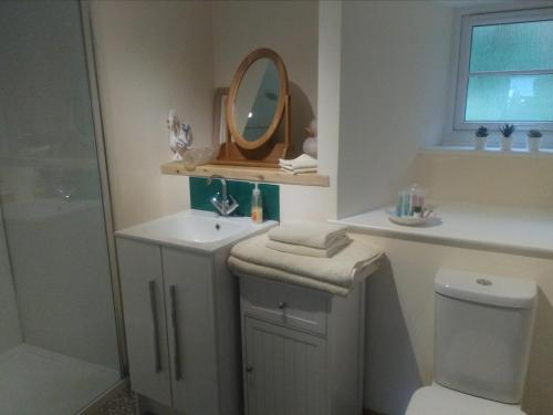 Cornworthy2 Mill Cottages的一间带水槽、镜子和卫生间的浴室