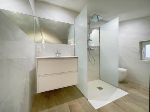 莱昂Apartamento Milo Ordoño的白色的浴室设有水槽和卫生间。