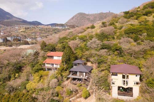 箱根VILLA HAKONE湖空的山丘上房屋的空中景致