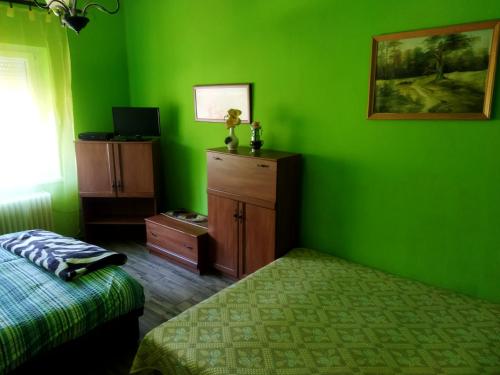 阿格泰列克Szakál Vendégház的一间带绿色墙壁的卧室、一张床和一个梳妆台