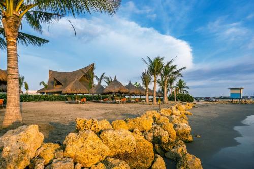 卡塔赫纳Dreams Karibana Cartagena Golf & Spa Resort的一片种有棕榈树和岩石的海滩