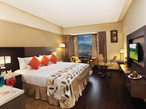 斋浦尔福瑞萨酒店的酒店客房设有一张大床和一台电视。