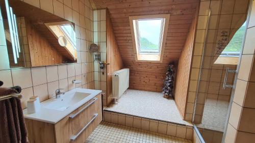 埃伯曼施塔特Hotel Pension Wolf的一间带水槽和淋浴的小浴室