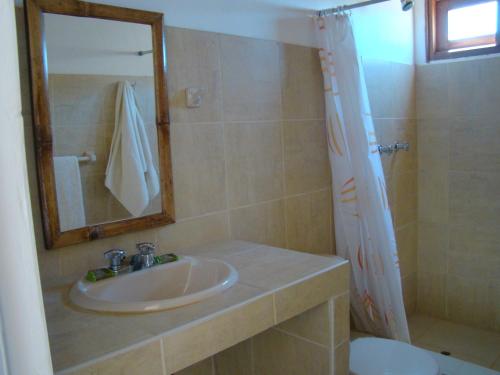洛斯拉甘斯艾尔格兰维洛酒店的浴室配有盥洗盆和带镜子的淋浴