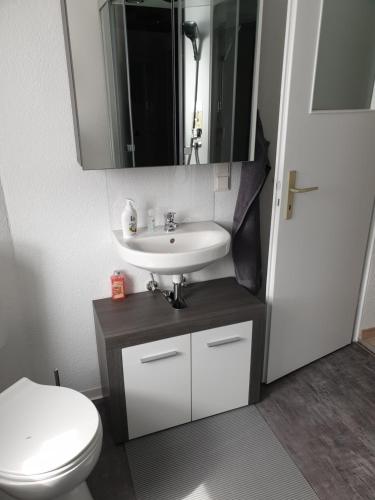 BischdorfSpreewald Alte Mühle Bischdorf-Lübbenau的一间带水槽、卫生间和镜子的浴室