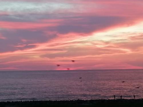 尼甘布Le Petit Hotel & Restaurant的海面上的日落和天空中的鸟