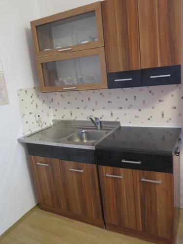 赫鲁巴斯卡拉Apartman Hruba Skala的一个带水槽和木橱柜的厨房