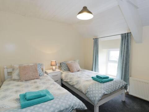 阿贝达隆Ty Rhos, Farm Stay, sleeps 4, Rhoshirwaun 2 miles from Aberdaron的一间卧室设有两张单人床和一个窗户。