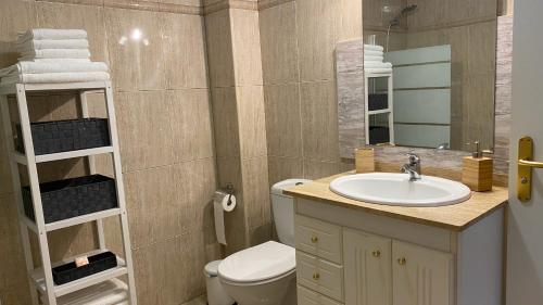 拉克鲁斯Elegante piso en Puerto de la Cruz的一间带水槽、卫生间和镜子的浴室