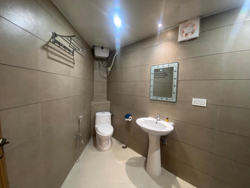 大吉岭Hotel Amaira的一间带卫生间和水槽的浴室