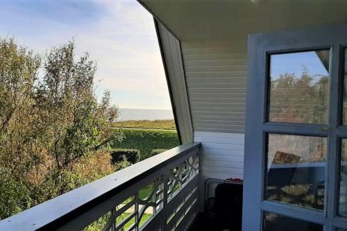 丹讷马勒Havudsigt Ferielejlighed的阳台设有窗户,享有田野美景。
