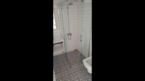 艾登Room in Apartment - Kadinlar Denizi Ev 31的带淋浴和卫生间的浴室