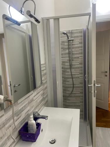 弗拉斯卡蒂维拉吉奥住宿加早餐旅馆的一间带水槽和淋浴的浴室