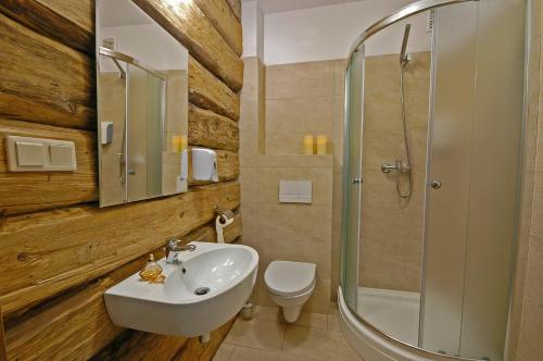 波拉齐克Dom na Skale - Apartamenty w Bieszczadach nad Soliną的一间带水槽、卫生间和淋浴的浴室