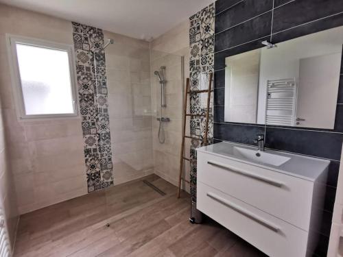 PoilleyGîte de vacances的一间带水槽、镜子和淋浴的浴室