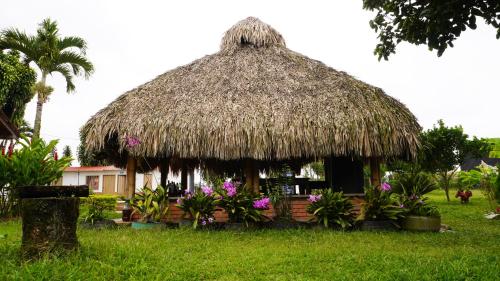 普韦布洛保Hostal De Paris的草屋顶的小屋,种有花草