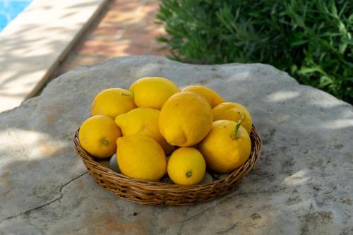 圣布拉什迪阿尔波特尔Casa Vitória的一块岩石上的橘子和柠檬