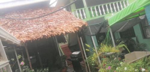 莱蒂西亚Don Ramirez的草屋顶和一些植物的小房子