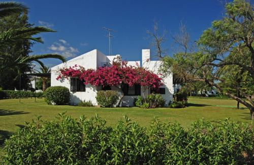 卡巴纳斯·德·塔维拉佩德拉达赖尼亚度假村的前面有粉红色花的白色房子