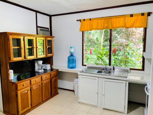 圣伊格纳西奥玛娅山林小屋的厨房设有水槽和窗户。