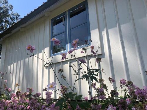 FröbygårdaSeaside Cottage Haga Park的窗户前有鲜花的房子