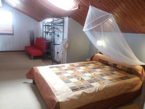 勒迪亚芒La belle Mullane的一间卧室配有一张带蚊帐的床