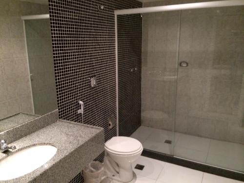 里约热内卢恩康特洛斯情趣酒店（仅限成人）的浴室配有卫生间、淋浴和盥洗盆。