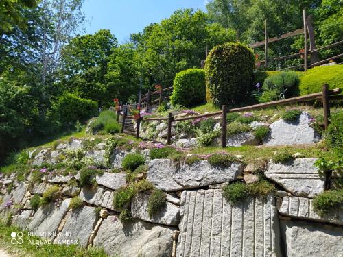 DonatoBaita Sambuco的山丘上种满鲜花的岩石花园