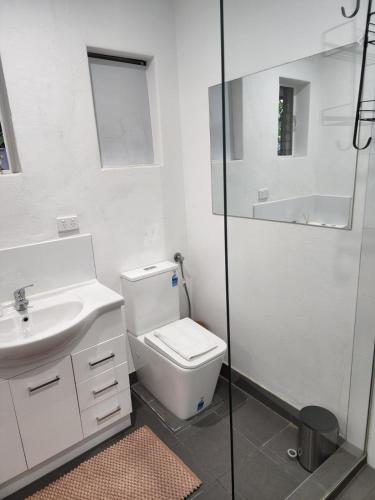 墨尔本St Kilda Lovely Studio Apartment的浴室配有卫生间、盥洗盆和淋浴。