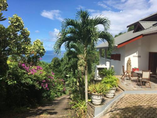 塔卡马卡Hilltop South - Villa Bougainville的房屋前的棕榈树