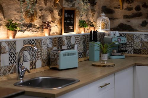 比索达雷加Salgueiral Guest House Douro的厨房柜台设有水槽和搅拌机