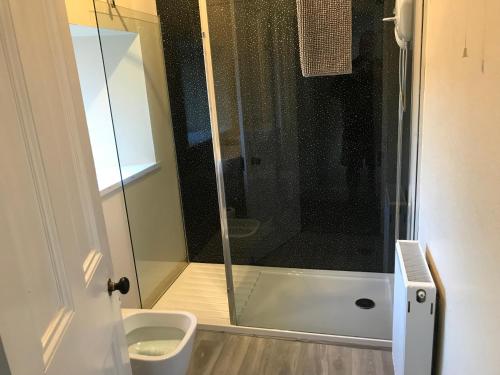 埃伦港Eilidh’s Guest House的带淋浴和卫生间的浴室