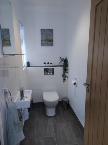 以撒港Trevose, sea views的白色的浴室设有卫生间和水槽。