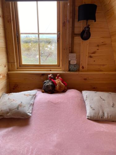 阿尼克Pinkys Pod at Rock Lodge的两个塞满了东西的动物坐在一个窗户房间里的床边