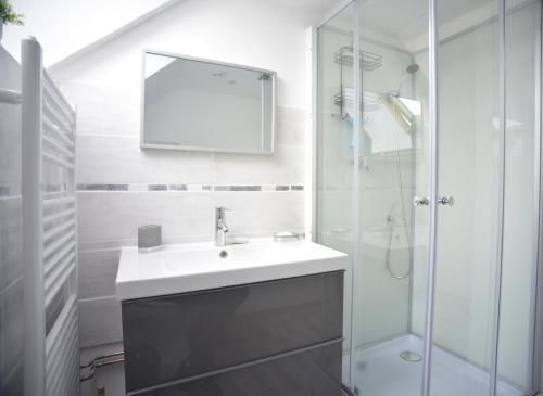 Saint-AgilZenViewStudios的白色的浴室设有水槽和淋浴。