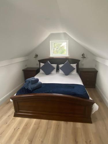 基利贝格斯Wild Atlantic Way Beach Cove View Ballyara的一间卧室配有一张带蓝色床单的床和一扇窗户。