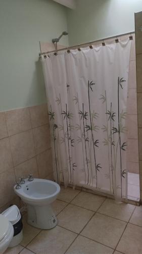 ZondaSolar Del Valle的浴室设有淋浴帘、卫生间和水槽