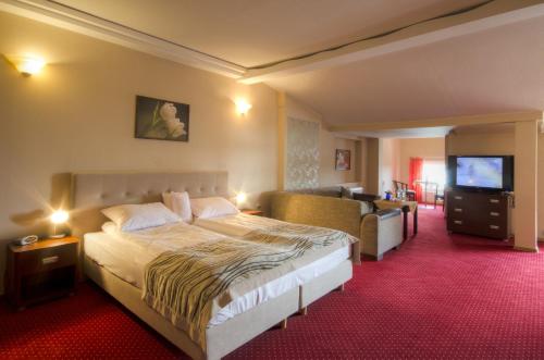 姆拉哥沃Panoramic-Oscar的配有一张床和一台平面电视的酒店客房