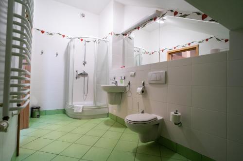 萨诺克桑维特健康中心酒店的浴室配有卫生间、淋浴和盥洗盆。
