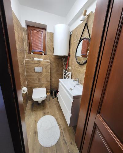 考斯赛力克Apartament z widokiem na Giewont的一间带水槽和卫生间的小浴室