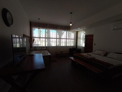 乌斯帕亚塔Uspallata Suites的客厅配有沙发和桌子