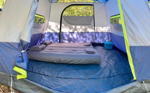 圣安德烈斯Irie Town的蓝色和白色的帐篷,配有一张床