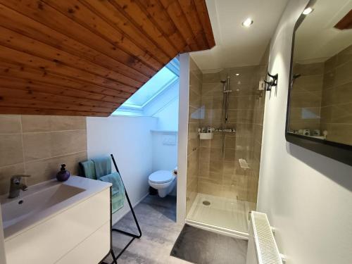 Mont-de-l'EnclusB&B Le Reclus的带淋浴、卫生间和盥洗盆的浴室
