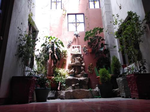 克萨尔特南戈Hotel Casolia的一座种植了植物的庭院和一座喷泉