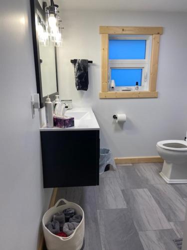 丘吉尔Bears Den Guest House的一间带水槽、卫生间和镜子的浴室