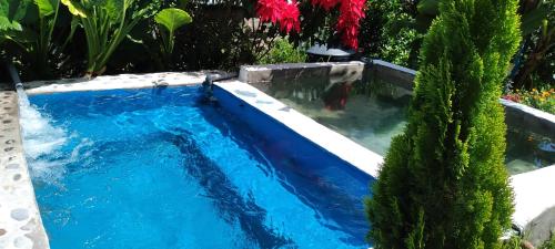 卡瓦纳科德Casa De Virginia的花园中的游泳池