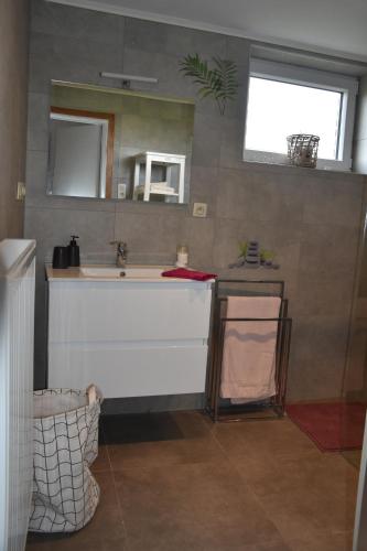 Quartesle renouveau de Quartes的一间带水槽和镜子的浴室