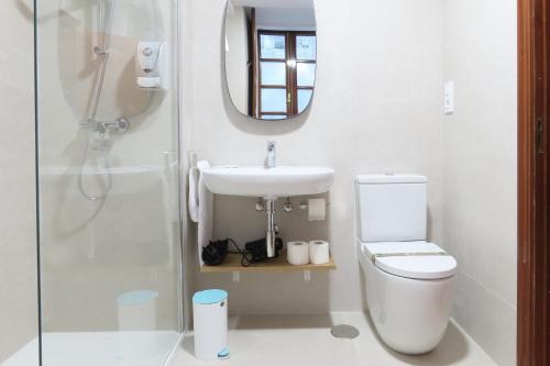 圣地亚哥－德孔波斯特拉Sete Artes by Como en Casa的一间带卫生间、水槽和镜子的浴室
