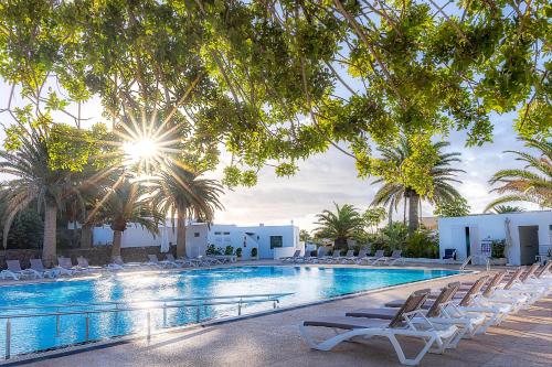 卡门港Casas Heddy, Well-being Resort的一个带躺椅的游泳池,棕榈树