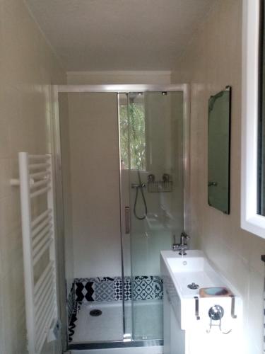 尼斯les chênes verts的带淋浴和盥洗盆的浴室